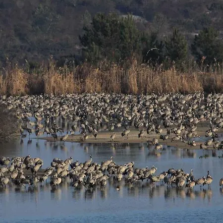 Les Armayans Arjuzanx