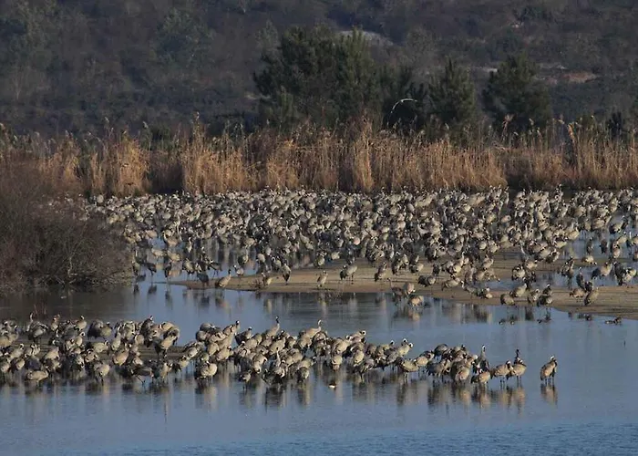 Les Armayans Arjuzanx